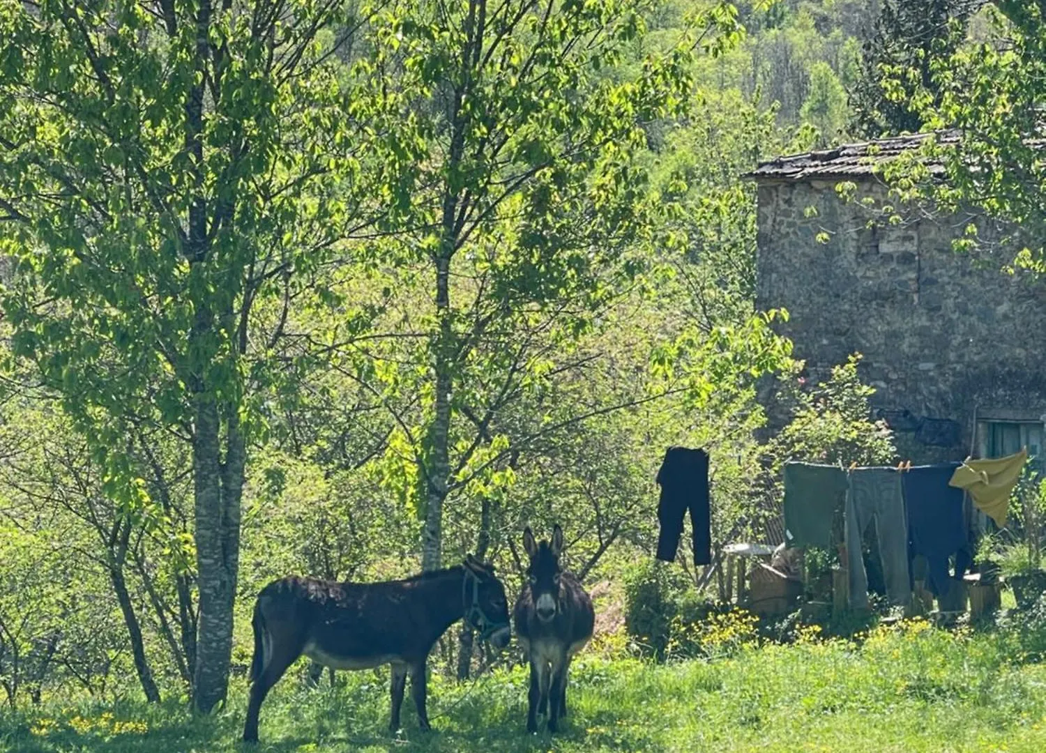 The Stone House Apartment Marciaso 0*,  Italy